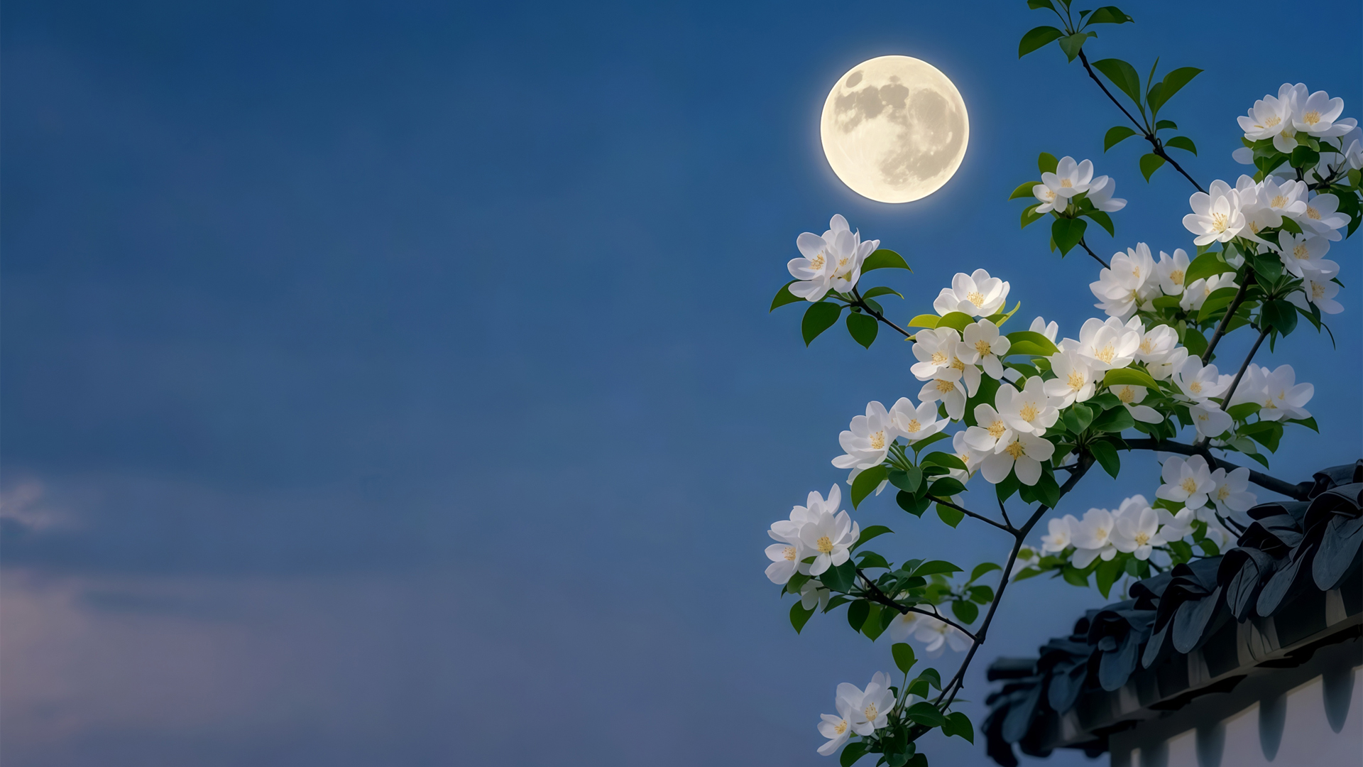 菜园里的四季课：在耕种中重新认识时间